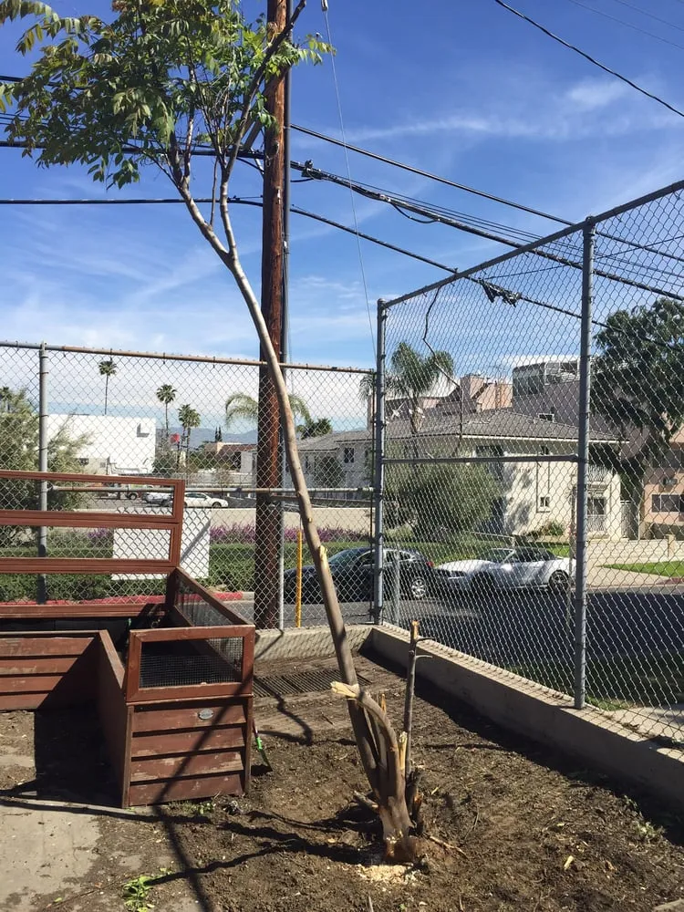 Top-rated lawn care service in Sherman Oaks, CA - Sherman Oaks Landscaping