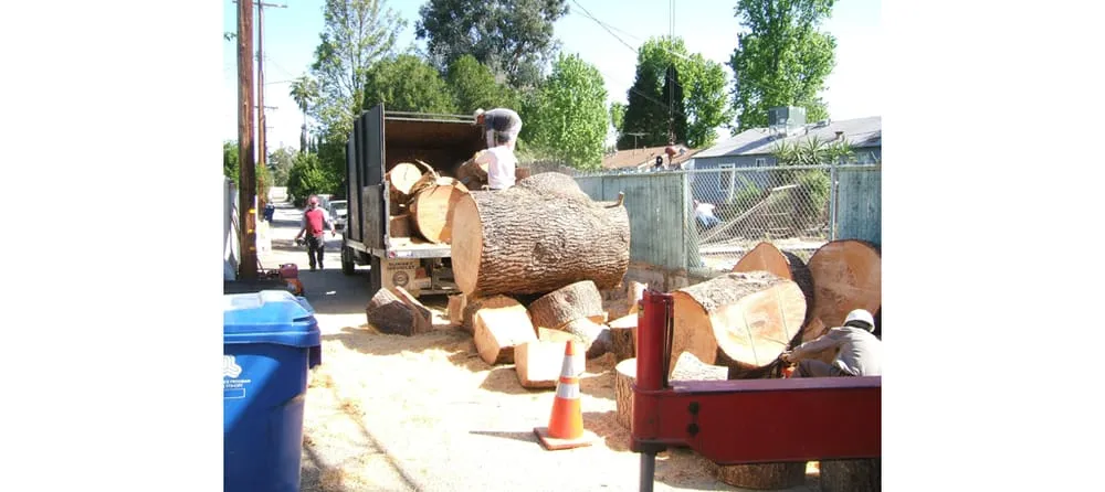 Expert landscape installation in Sherman Oaks, CA - Sherman Oaks Landscaping