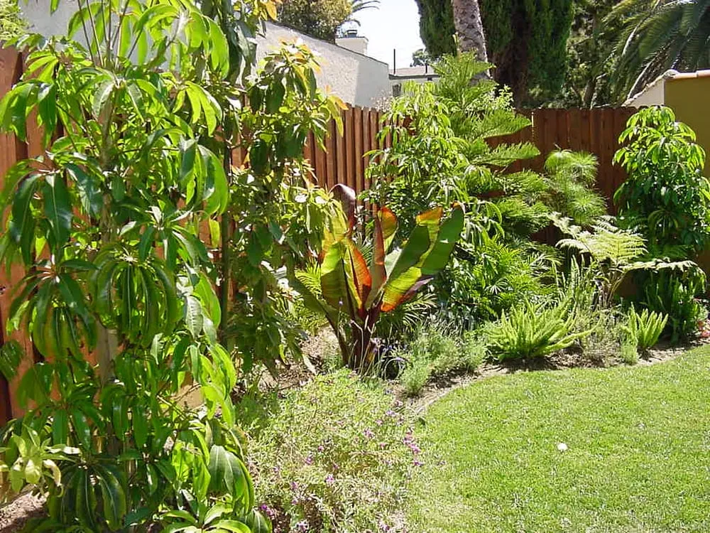 Local garden landscaping in Sherman Oaks, CA - Sherman Oaks Landscaping