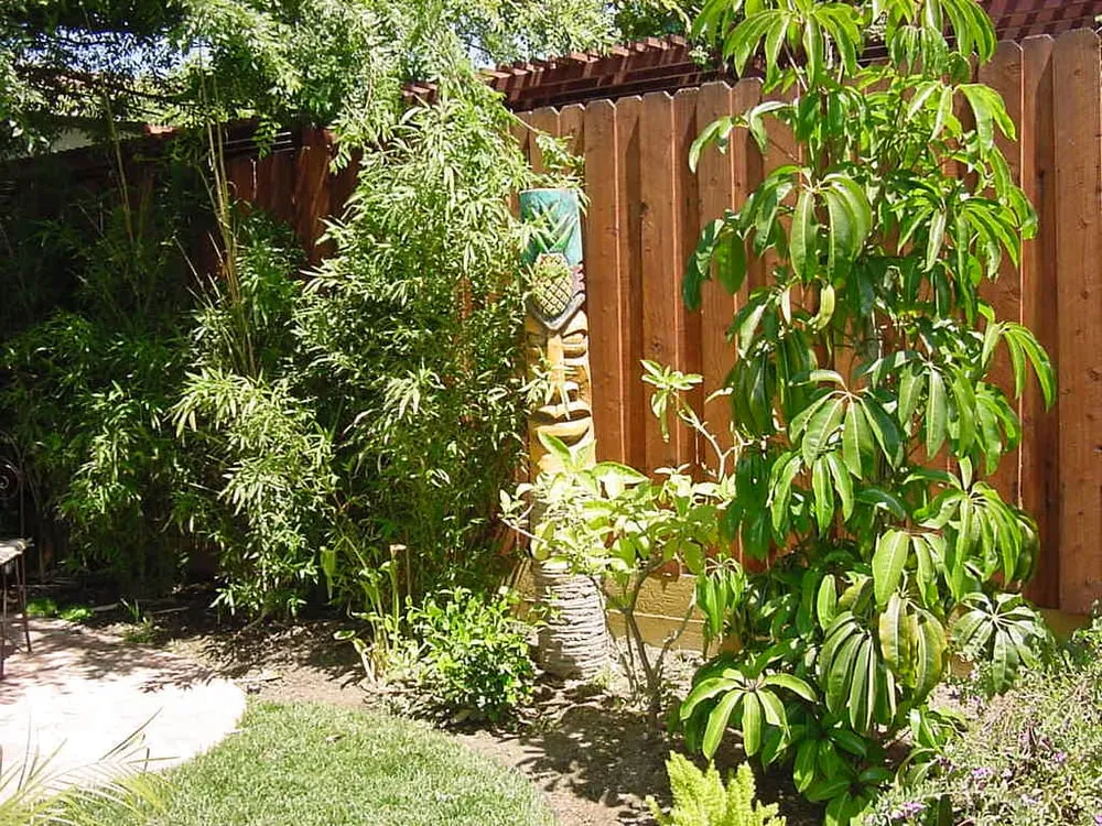 Local yard maintenance experts serving Sherman Oaks, CA - Sherman Oaks Landscaping