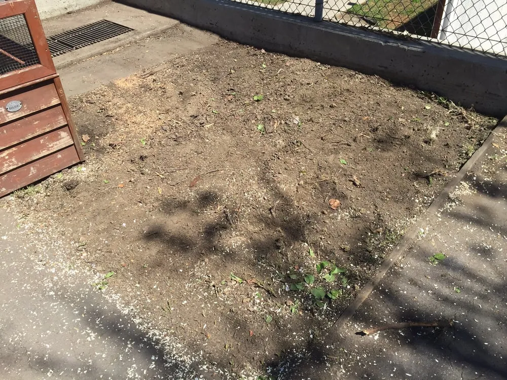 Top-rated lawn mowing service for residential properties across Sherman Oaks, CA - Sherman Oaks Landscaping