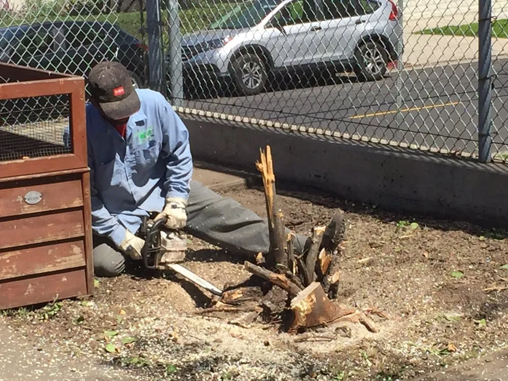 Affordable landscaping services for residential properties across Sherman Oaks, CA - Sherman Oaks Landscaping