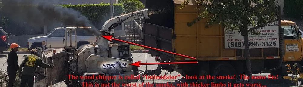 Top-rated lawn care service in Sherman Oaks, CA by Sherman Oaks Tree Service