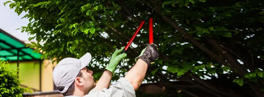 Custom outdoor landscaping for outdoor upgrades across Sherman Oaks, CA - Sherman Oaks Tree Service