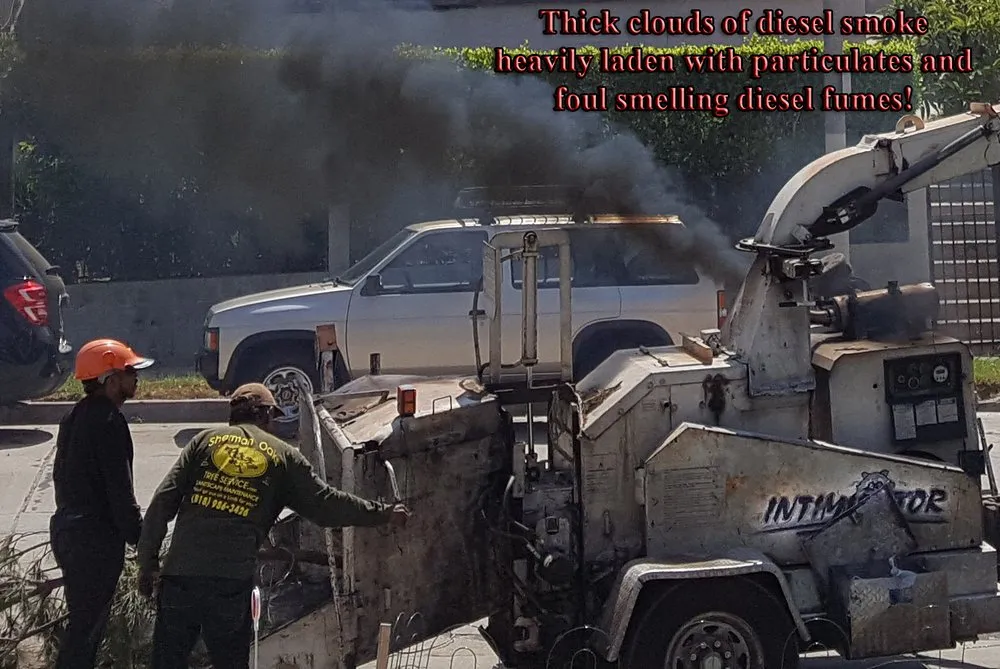 Professional yard cleanup service in Sherman Oaks, CA - Sherman Oaks Tree Service