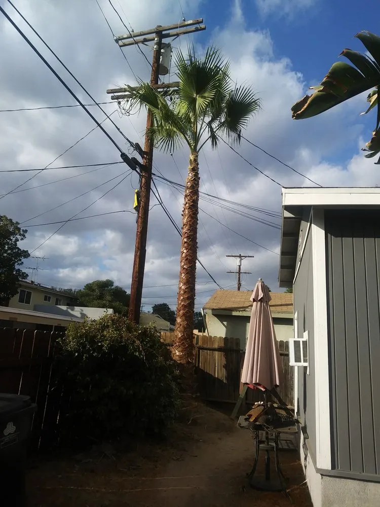 Affordable lawn mowing service for residential properties across Sherman Oaks, CA - Sherman Oaks Tree Service