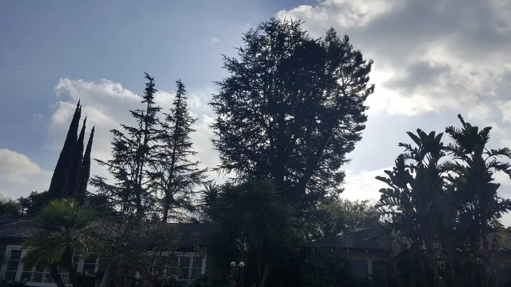 Reliable garden landscaping in Sherman Oaks, CA - Sherman Oaks Tree Service