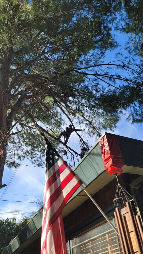 Expert garden landscaping experts serving Sherman Oaks, CA - Sherman Oaks Tree Service