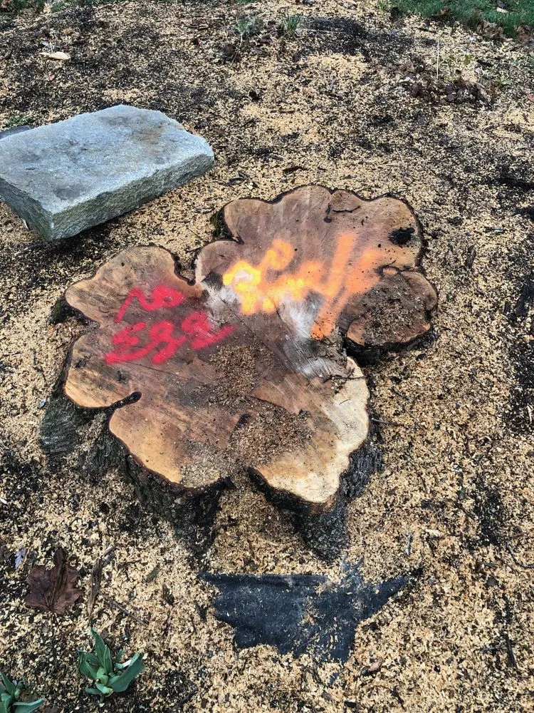 Local garden landscaping for homes across New Milford, CT - Sherman Stump Grinding & Brush Cutting