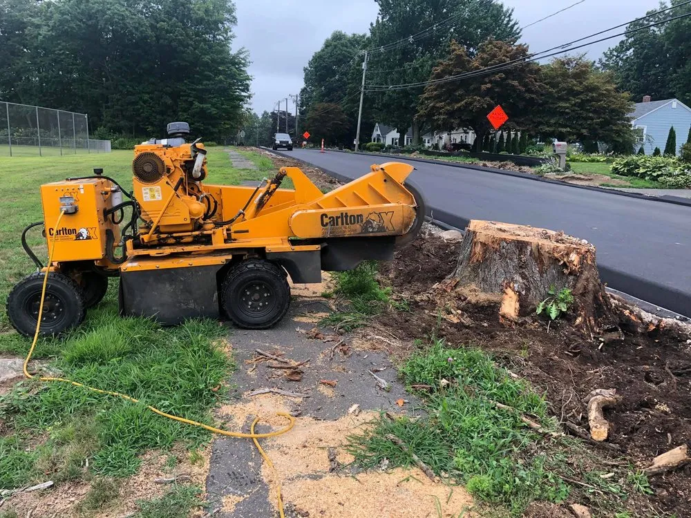 Professional lawn care service in New Milford, CT - Sherman Stump Grinding & Brush Cutting