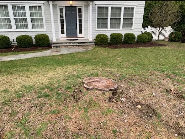 Trusted landscape design experts serving New Milford, CT - Sherman Stump Grinding & Brush Cutting