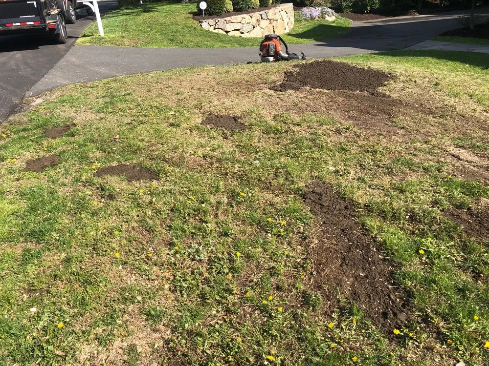 Expert yard maintenance experts serving New Milford, CT - Sherman Stump Grinding & Brush Cutting