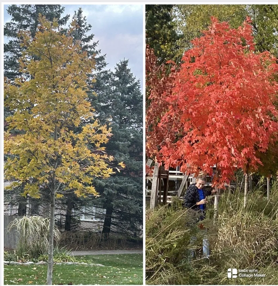 Affordable garden landscaping for beautiful yards across Rochester, MI - Sherwood Forest Garden Center