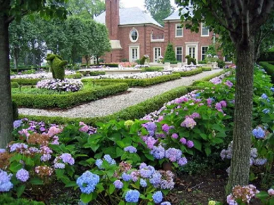 Expert yard maintenance for residential properties across Rochester, MI - Sherwood Forest Garden Center