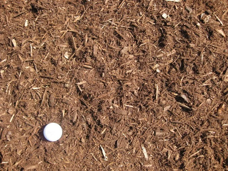 Trusted landscape design in Rochester, MI by Sherwood Forest Garden Center