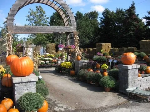 Custom residential landscaping for year-round maintenance across Rochester, MI - Sherwood Forest Garden Center