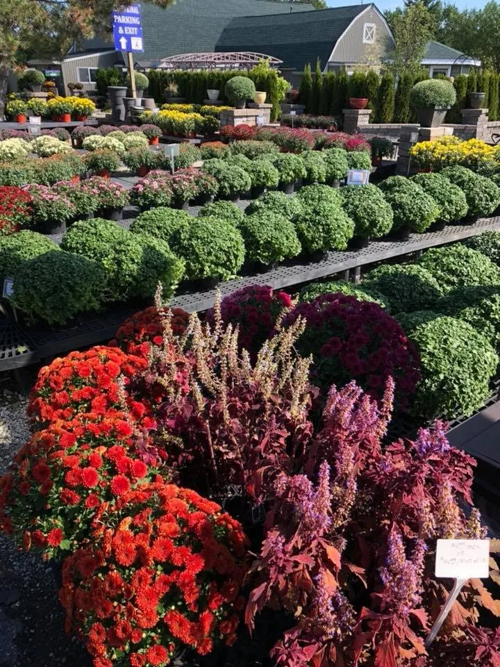 Top-rated yard cleanup service in Rochester, MI - Sherwood Forest Garden Center