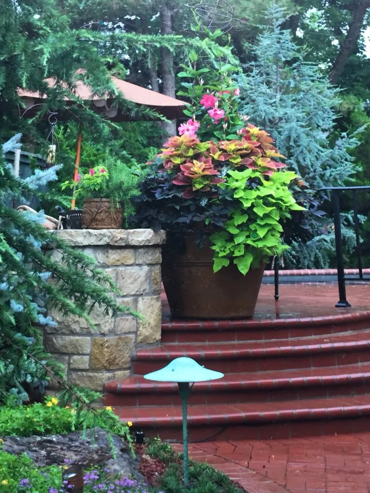 Reliable yard cleanup service in Oklahoma City, OK by Sherwood Gardens Landscape Design & Development