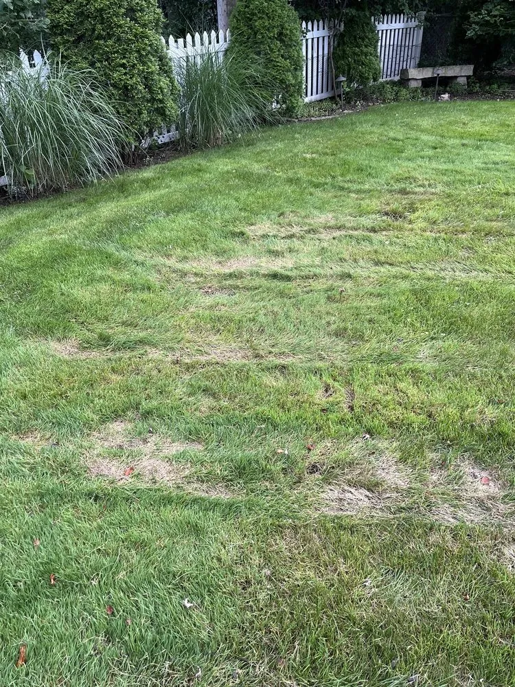 Trusted landscaping services near you in Troy, MI by Sherwood Landscaping