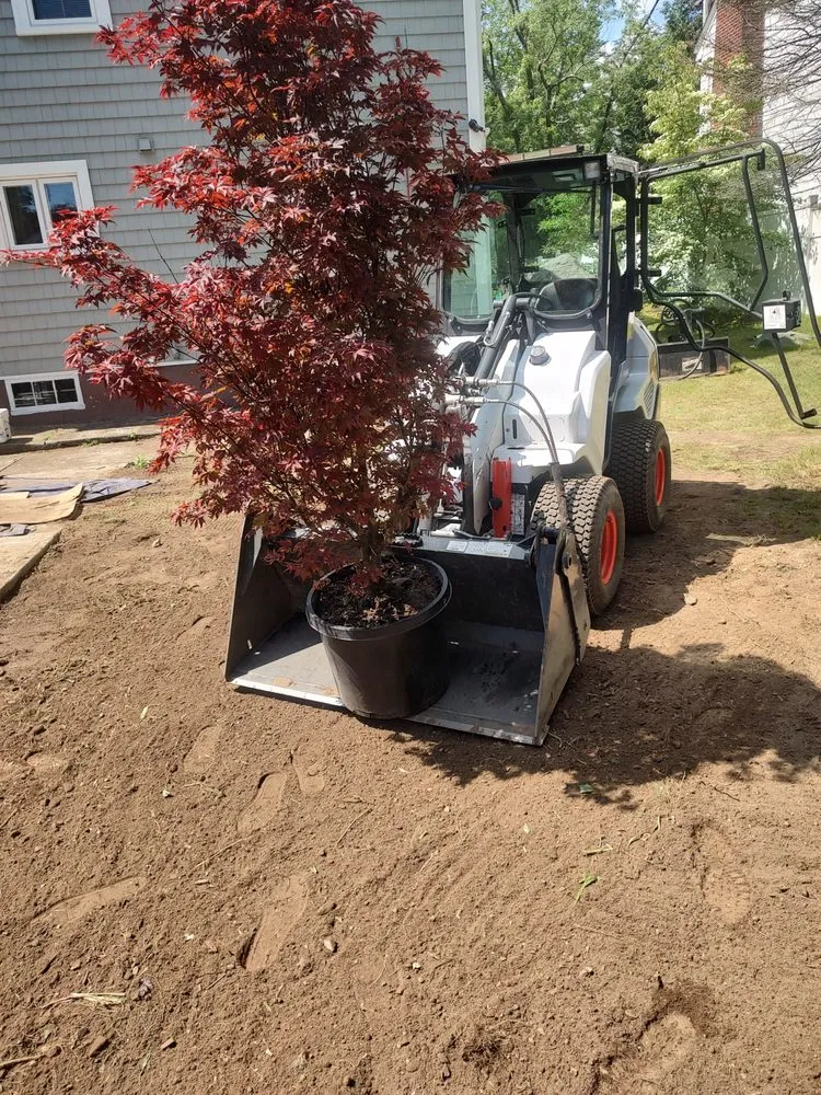 Local residential landscaping experts serving Raynham, MA - Sherwood Property Services