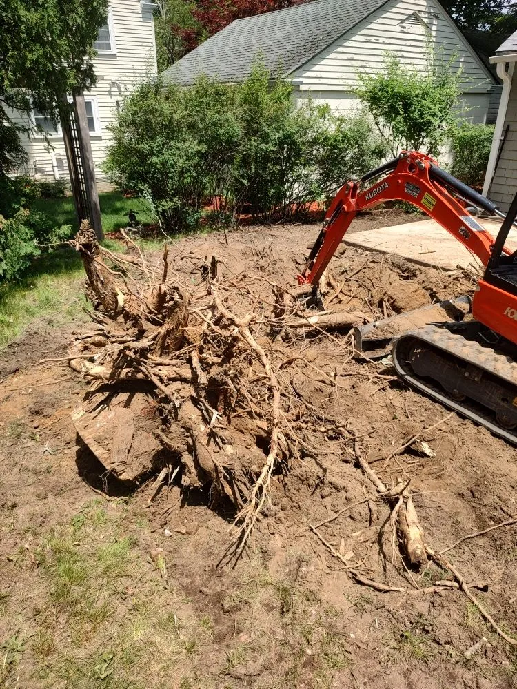 Affordable outdoor landscaping near you in Raynham, MA by Sherwood Property Services