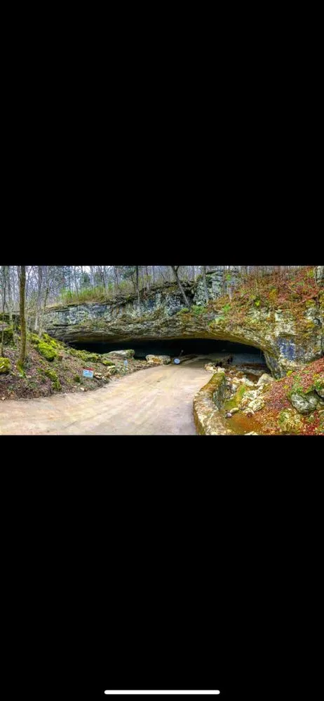 Custom yard cleanup service near you across Winchester, TN - Shetters Lawncare