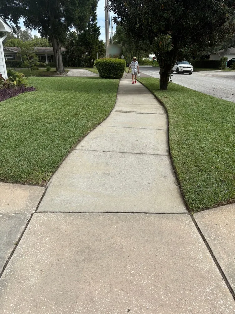 Professional landscape installation in Aloma, FL - Shhh Yardkeeping
