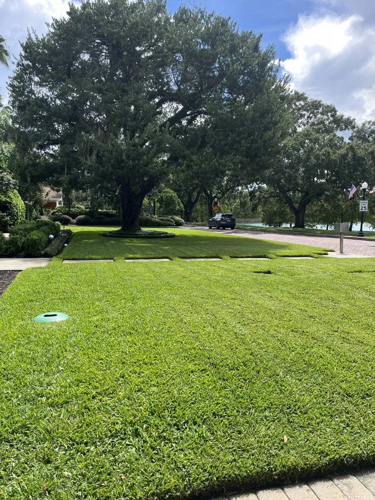 Affordable yard maintenance experts serving Aloma, FL - Shhh Yardkeeping