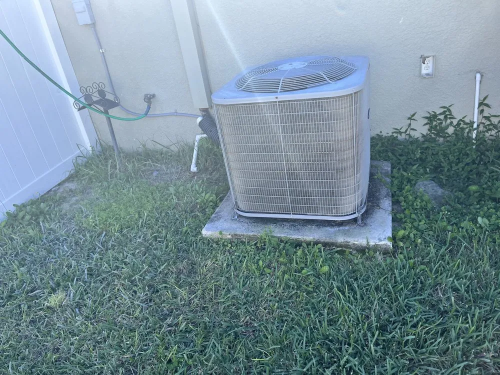 Top-rated lawn care service experts serving Spring Hill, FL - Shi & 2Kings Hauling & Removable