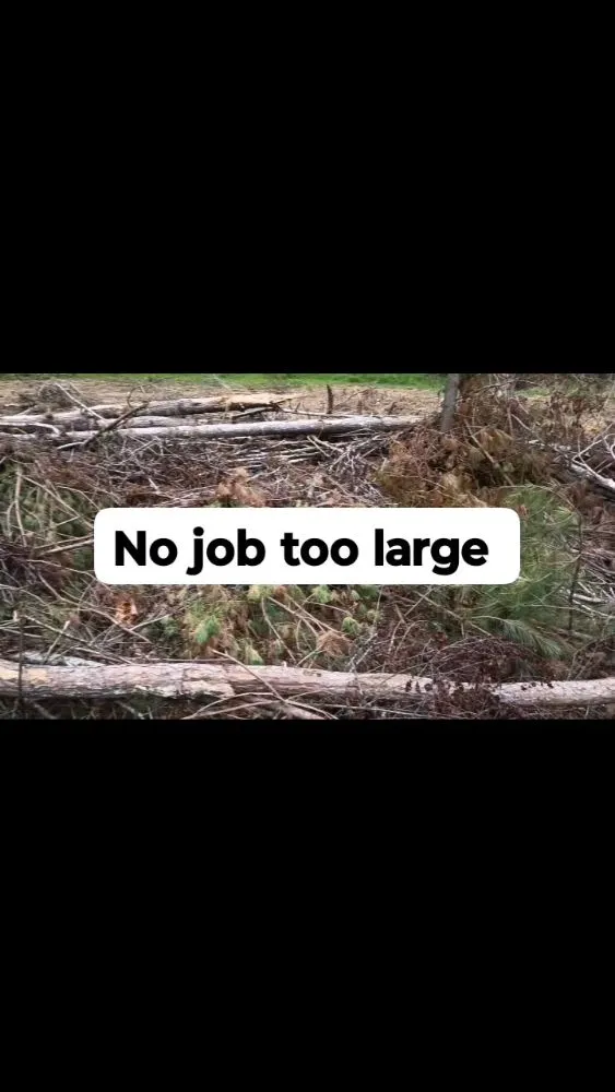 Trusted lawn mowing service for outdoor upgrades in Memphis, TN by Shield & Stripes Lawn Care