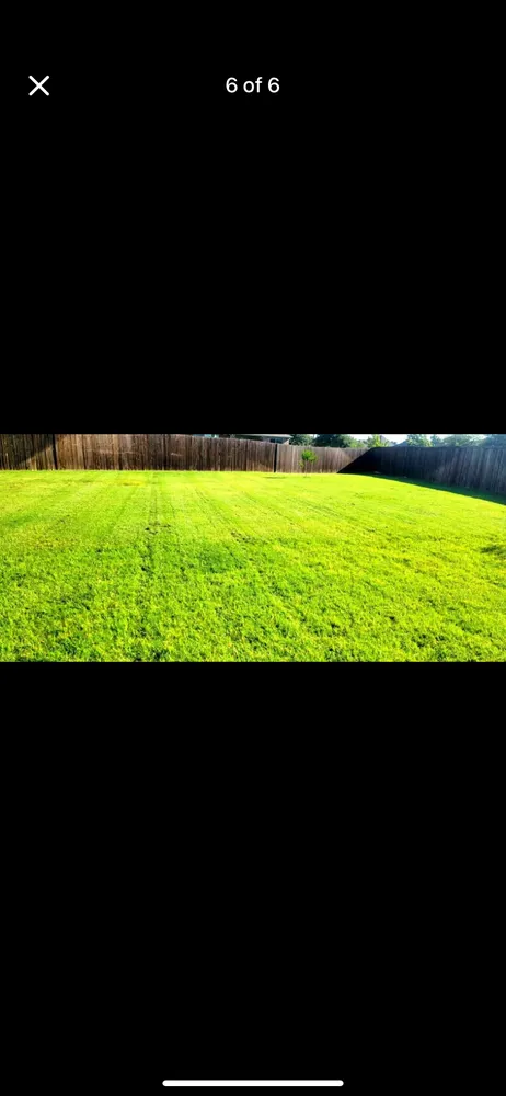 Expert landscape design experts serving Memphis, TN - Shield & Stripes Lawn Care