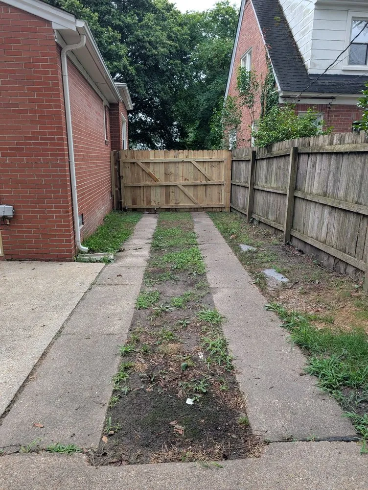 Expert landscape design experts serving Norfolk, VA - Shield And Arm Services