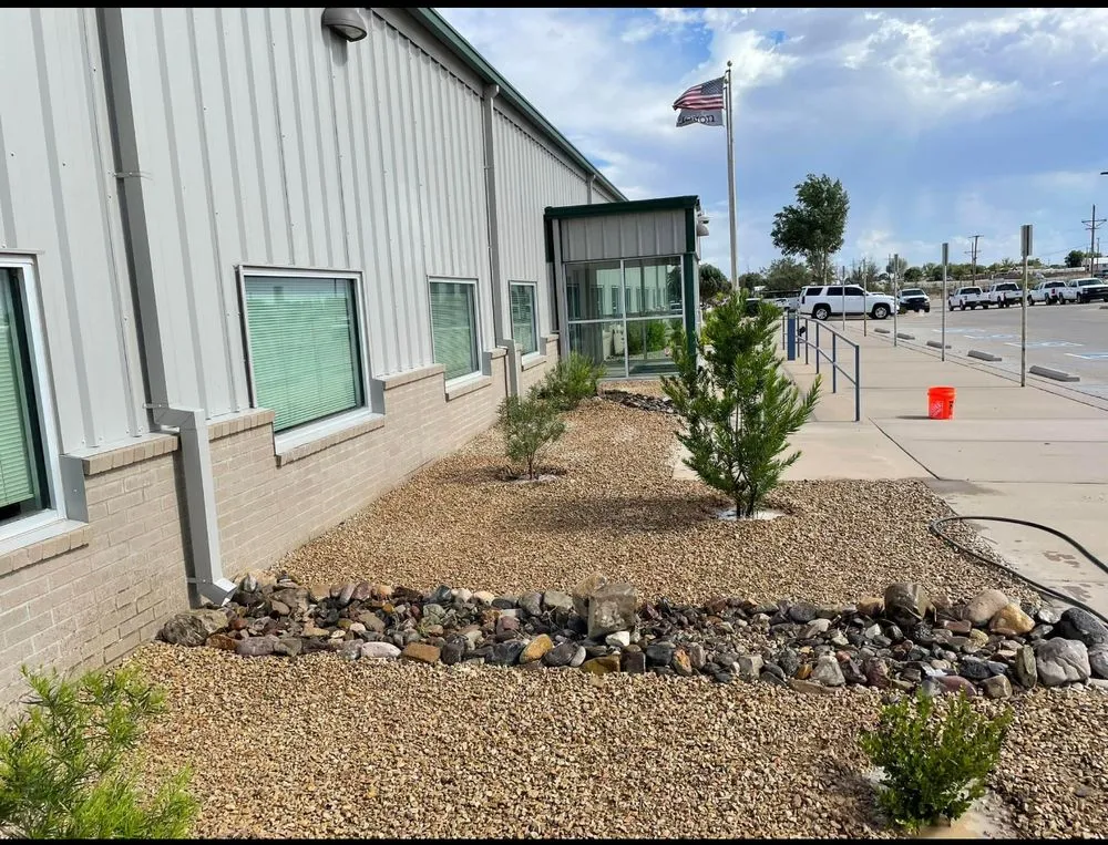 Expert yard cleanup service for year-round maintenance in Roswell, NM by Shields Landscape