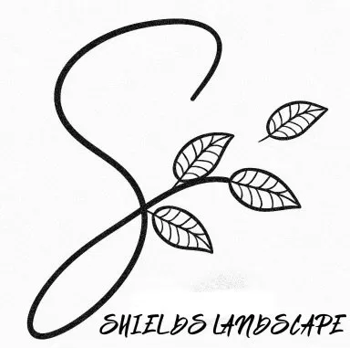 Trusted yard maintenance for beautiful yards in Roswell, NM by Shields Landscape