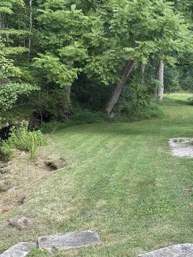 Affordable outdoor landscaping in Winchester, KY by Shields Landscaping and Maintenance