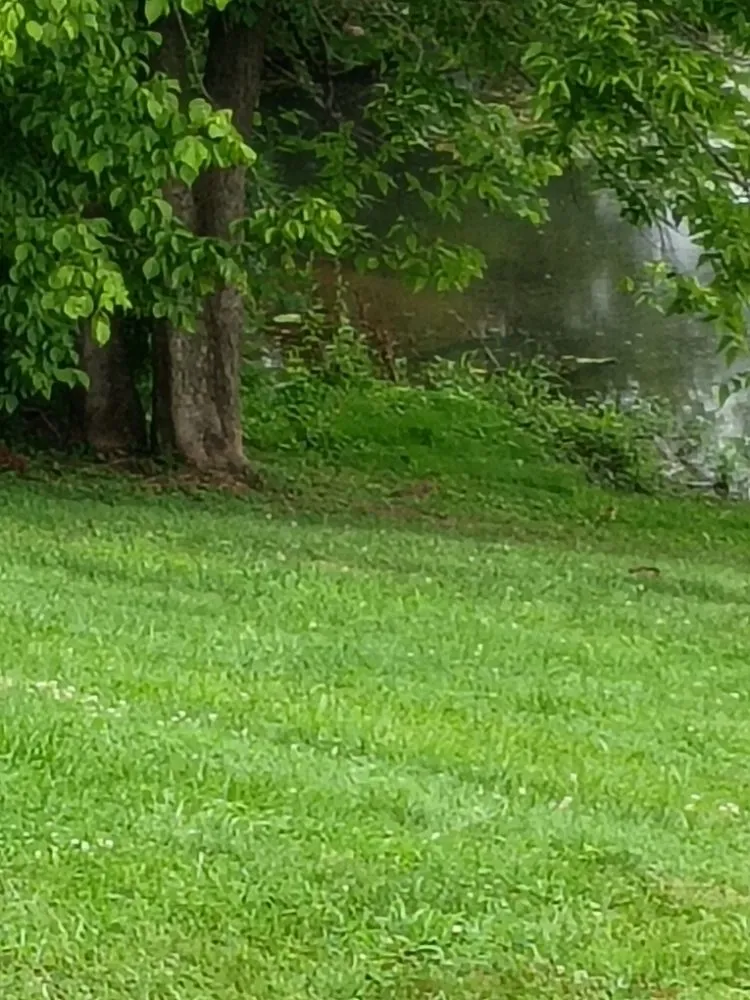 Trusted yard maintenance near you in Winchester, KY by Shields Landscaping and Maintenance