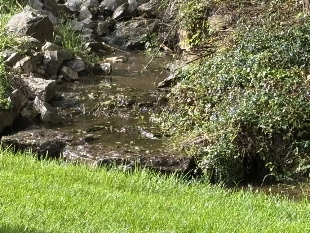 Expert garden landscaping experts serving Winchester, KY - Shields Landscaping and Maintenance