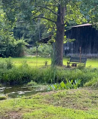 Shields Landscaping and Maintenance