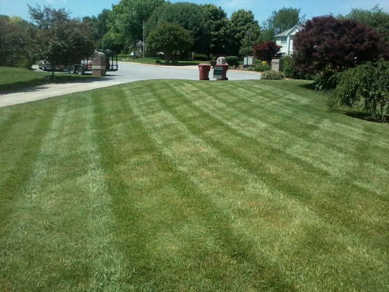 Expert residential landscaping for residential properties in Elizabethton, TN by Shields Lawn Care