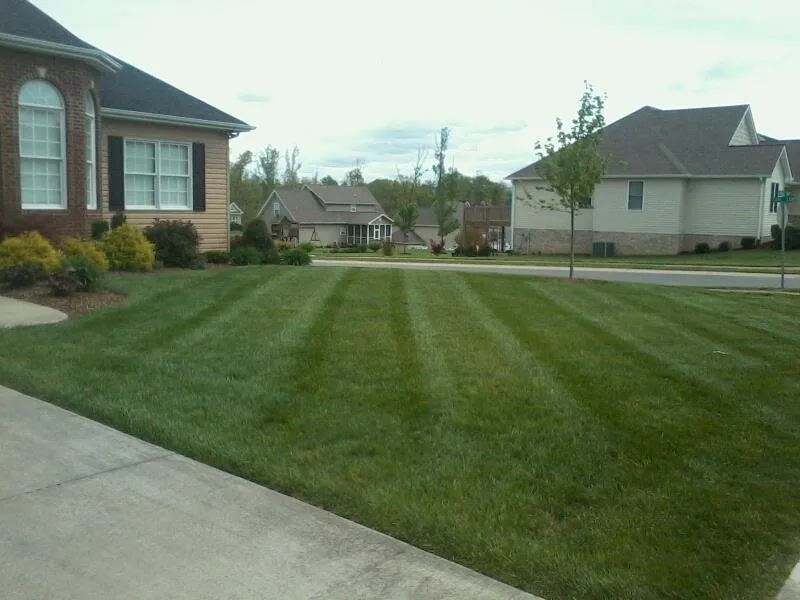 Trusted yard maintenance in Elizabethton, TN - Shields Lawn Care