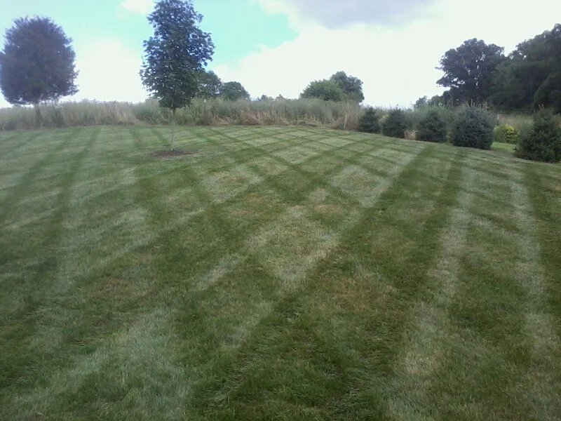 Affordable lawn mowing service in Elizabethton, TN by Shields Lawn Care