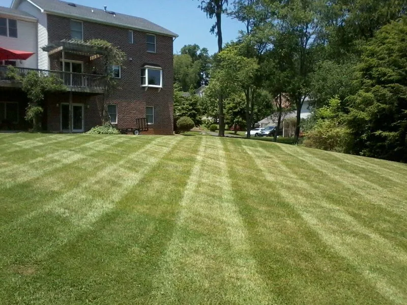 Custom landscaping services experts serving Elizabethton, TN - Shields Lawn Care