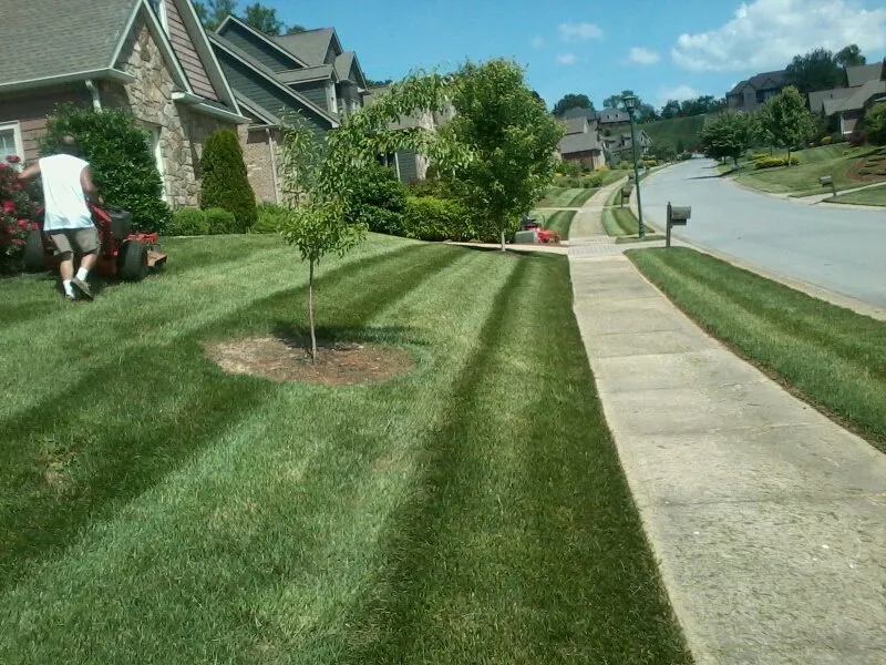 Trusted landscape design in Elizabethton, TN by Shields Lawn Care