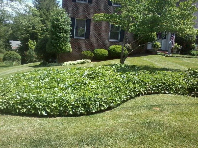 Professional garden landscaping in Elizabethton, TN - Shields Lawn Care