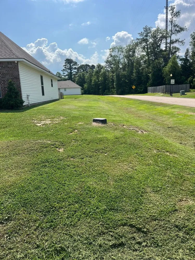 Top-rated landscape installation experts serving Hammond, LA - Shields Lawn ,Pressure Washing,Painting Services