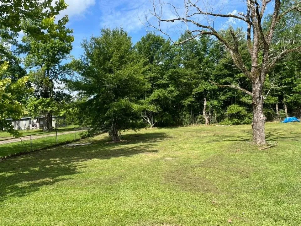 Reliable yard cleanup service for residential properties in Hammond, LA by Shields Lawn ,Pressure Washing,Painting Services