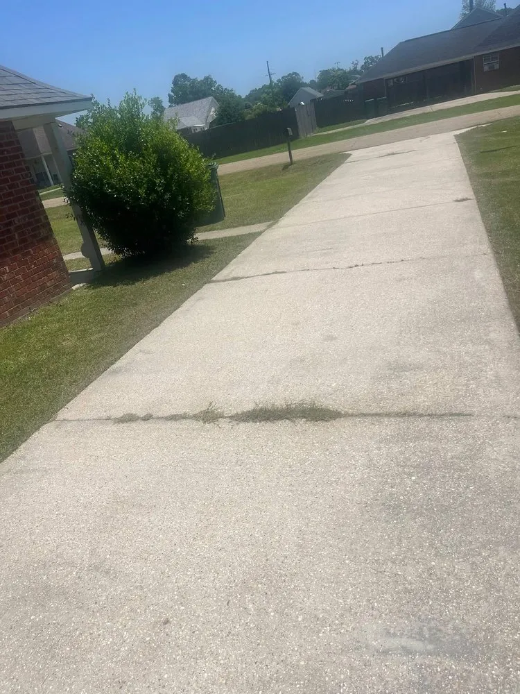 Top-rated outdoor landscaping in Hammond, LA by Shields Lawn ,Pressure Washing,Painting Services