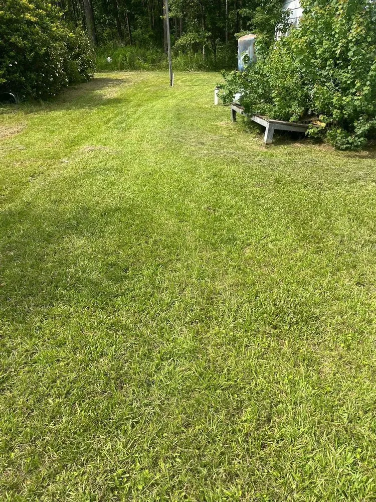 Local outdoor landscaping in Hammond, LA by Shields Lawn ,Pressure Washing,Painting Services