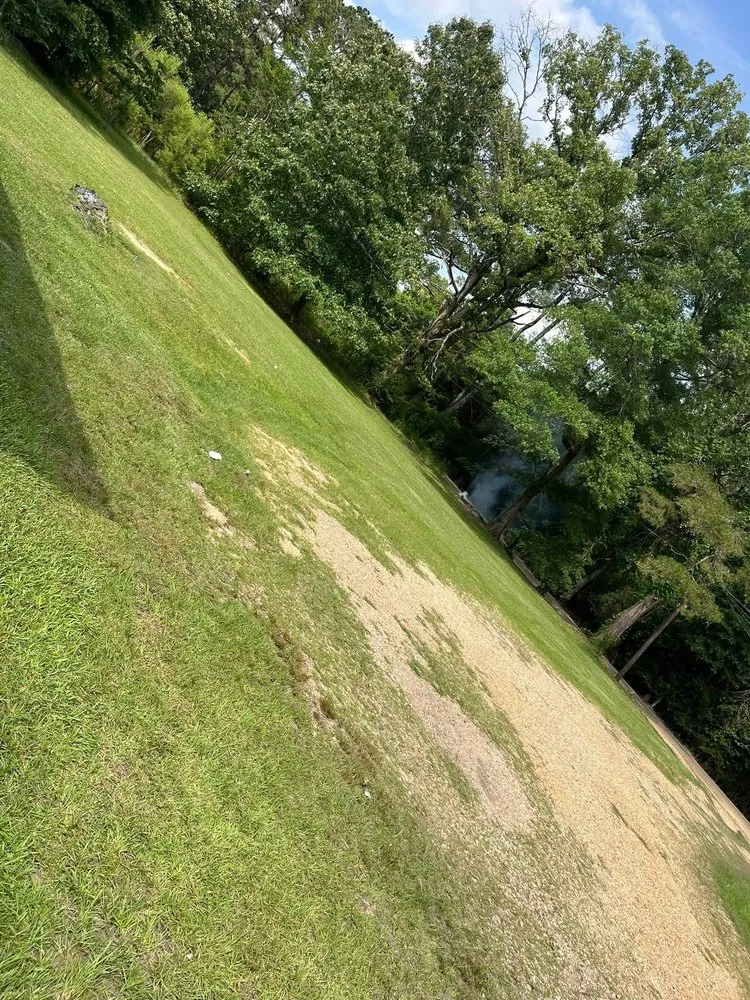 Trusted landscaping services experts serving Hammond, LA - Shields Lawn ,Pressure Washing,Painting Services