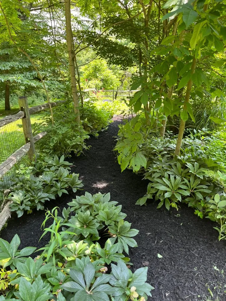 Top-rated garden landscaping for residential properties in Highland, NY by Shier & Son’s